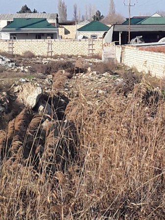 Binəqədi rayon icra hakimiyyəti tərəfindən 2-ci qrup əlilin evi söküldü-VİDEO