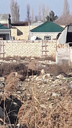 Binəqədi rayon icra hakimiyyəti tərəfindən 2-ci qrup əlilin evi söküldü-VİDEO