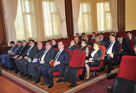 İradə Gülməmmədova vətəndaşların fərdi şəkildə qəbulunu keçirdi