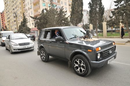 Abşeronda virus əleyhinə profilaktik tədbirlər davam etdirilir