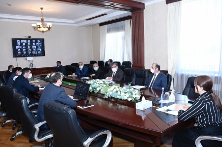 İradə Gülməmmədova video-konfrans keçirdi