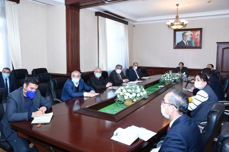 İradə Gülməmmədova video-konfrans keçirdi