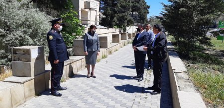 Xırdalanda ağac kəsildi – Başçı əraziyə gəldi