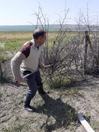 İsmayıllıda zəbt olunan örüş yerləri sakinlərə qaytarıldı