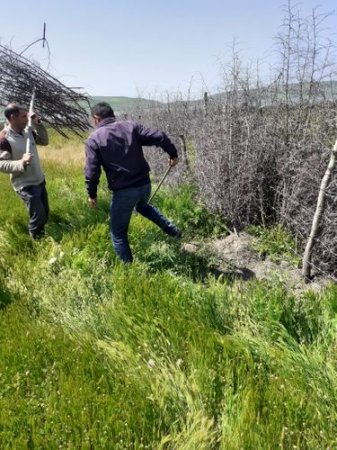 İsmayıllıda zəbt olunan örüş yerləri sakinlərə qaytarıldı