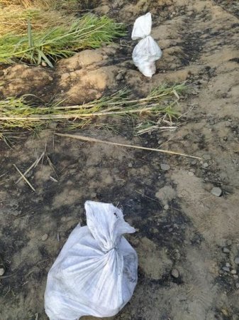 Azərbaycan-İran sərhədində atışma: Ölən var