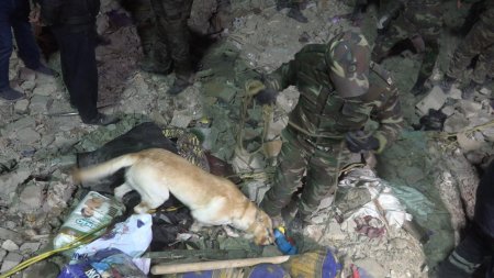 Gəncədə dağıntılar altından 52 yaralı və 13 meyit çıxarıb - Fotolar