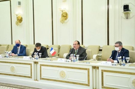 Sahibə Qafarova Fransa Parlamentinin nümayəndə heyəti ilə görüşüb - FOTO