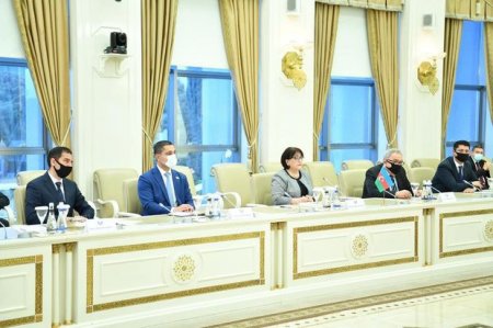 Sahibə Qafarova Fransa Parlamentinin nümayəndə heyəti ilə görüşüb - FOTO