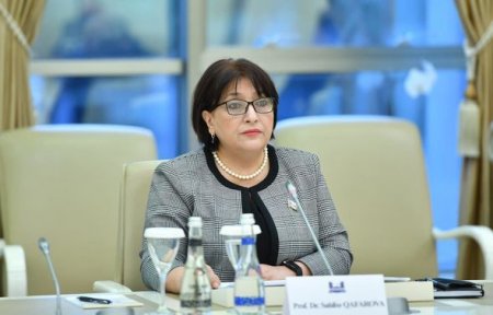 Sahibə Qafarova Fransa Parlamentinin nümayəndə heyəti ilə görüşüb - FOTO