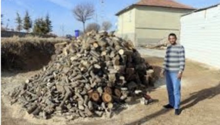 Türkiyə şokda: Kəsilmiş ağacın gövdəsindən ay-ulduz fiquru çıxdı - Fotolar