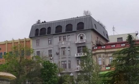 Əhəd Abıyev Bakıda binanın damında ağaclar əkdirib – FOTOFAKT