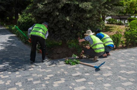 Nərimanov rayonunda abadlıq işləri davam edir