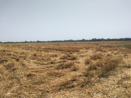 Sabirabad RPŞ-nin və FHN-nin əməkdaşları əkin sahələrində baş verən yanğın hadisələrinin qarşısının alınması məqsədilə vətəndaşlarla maarifləndirici görüşlər keçiriblər