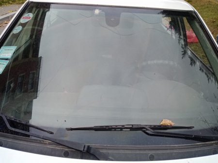 Canı və  malı düşmən zərbəsinə tuş gəlib,  halal haqqını isə  məmurlar  mənimsəyir -  VİDEO