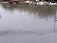 Binəqədi Rayon İcra Hakimiyyətinə MÜRACİƏT: - "Bəlkə, əraziyə gəlib, tədbir görəsiniz?"