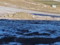 Gədəbəydə MƏMUR ÖZBAŞINALIĞI... - Onlara hər şey olar...