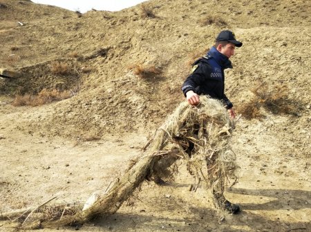 Şirvanda brakonyerliyə qarşı reyd keçirilib, sintetik tor və qanunsuz ov qurğuları məhv edilib