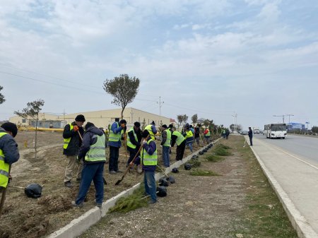 Abşeron rayonunda Xocalı soyqırımı qurbanlarının xatirəsinə 613 ağac əkildi 