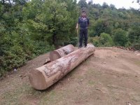 Ekologiya nazirinin müavini Vüqar Kərimovun saxta işləri