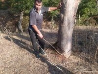 Ekologiya nazirinin müavini Vüqar Kərimovun saxta işləri