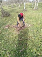 Meşələrimizə düşman kəsilən nazir müavini Vüqar Kərimovun əməlləri 