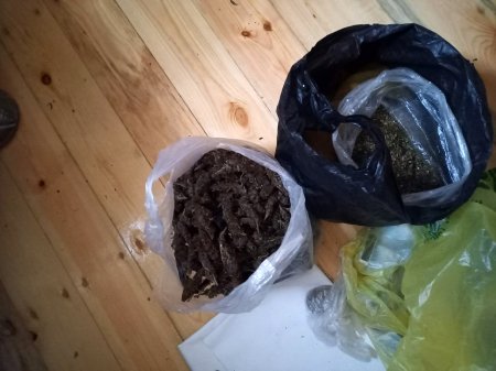 Sabirabad sakininin yaşadığı ünvandan 3 kq artıq marixuana, 1045 ədəd çətənə bitkisinin ştilləri və qanunsuz silah aşkarlandı