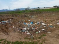 Masallıda antisanitar vəziyyət yaradan məmurlar