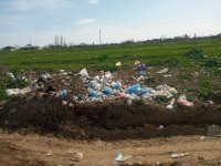 Masallıda antisanitar vəziyyət yaradan məmurlar