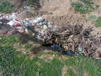 Masallıda antisanitar vəziyyət yaradan məmurlar