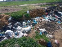 Masallıda antisanitar vəziyyət yaradan məmurlar