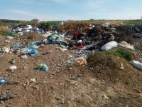 Masallıda antisanitar vəziyyət yaradan məmurlar