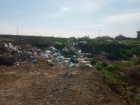 Masallıda antisanitar vəziyyət yaradan məmurlar