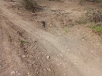 Masallıda bələdiyyə ÖZBAŞINALIĞI...