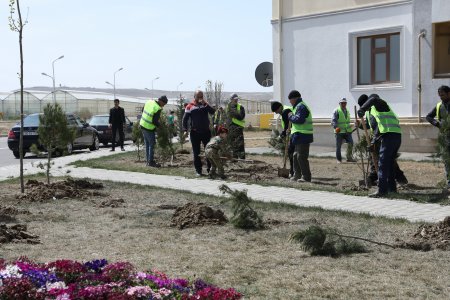 Abşeron rayonunda silsilə tədbirlər keçirilib 