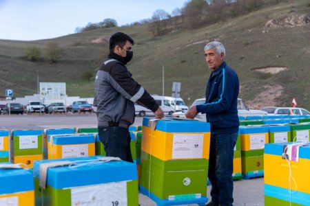 Daşkəsəndə “Arıçılıq təsərrüfatının inkişafına dəstək” layihəsi icra edilib