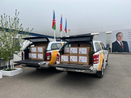 “AzerGold” QSC Daşkəsən və Göygöl rayonlarında sosial yardım aksiyası keçirib
