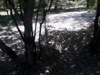 Təbiətin ETSN-nin müavini olan Vüqar Kərimov adlı bəlası