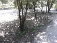 Təbiətin ETSN-nin müavini olan Vüqar Kərimov adlı bəlası