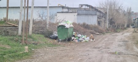 Abşeronda antisanitariya - FOTO