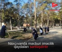 Fuad Nəcəfli ilə gələn gülüş: QISA ÇƏKDİ... - Naxçıvanda külək köhnə səmtdən əsir...