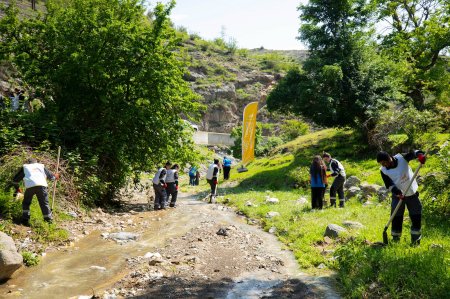 “AzerGold” QSC və "Regional İnkişaf" İB ekoloji tədbir keçirib - FOTO