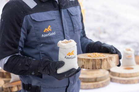 Daşkəsəndə biomüxtəlifliyin qorunması məqsədilə ekoloji aksiya keçirilib