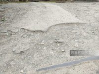 AAYDA rəhbərliyinin yeməkdən başı açılsaydı... - FOTOFAKT