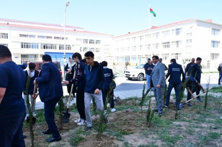 “Yaşıl dünya naminə həmrəylik ili” çərçivəsində Abşeron rayonunda ağacəkmə və təmizlik aksiyaları keçirilib - FOTO