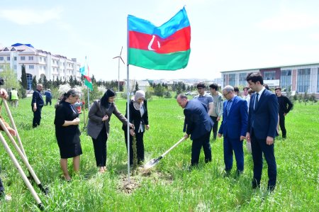 “Yaşıl dünya naminə həmrəylik ili” çərçivəsində Abşeron rayonunda ağacəkmə və təmizlik aksiyaları keçirilib - FOTO