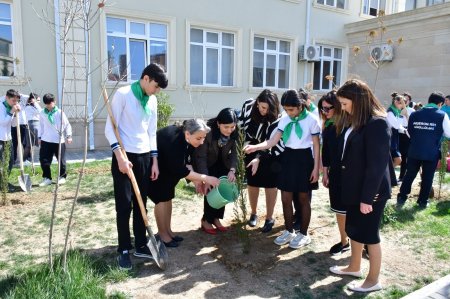 “Yaşıl dünya naminə həmrəylik ili” çərçivəsində Abşeron rayonunda ağacəkmə və təmizlik aksiyaları keçirilib - FOTO