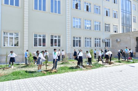 “Yaşıl dünya naminə həmrəylik ili” çərçivəsində Abşeron rayonunda ağacəkmə və təmizlik aksiyaları keçirilib - FOTO