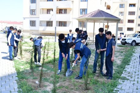 “Yaşıl dünya naminə həmrəylik ili” çərçivəsində Abşeron rayonunda ağacəkmə və təmizlik aksiyaları keçirilib - FOTO