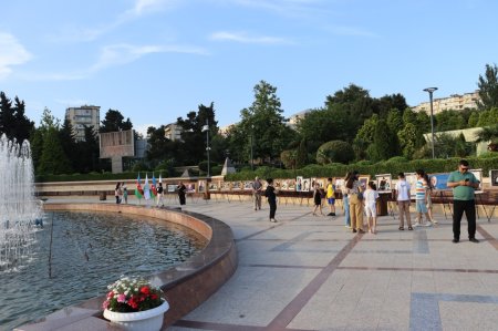 Xətai rayonunda Milli Qurtuluş Günü ilə bağlı silsilə tədbirlər davam edir - FOTOLAR